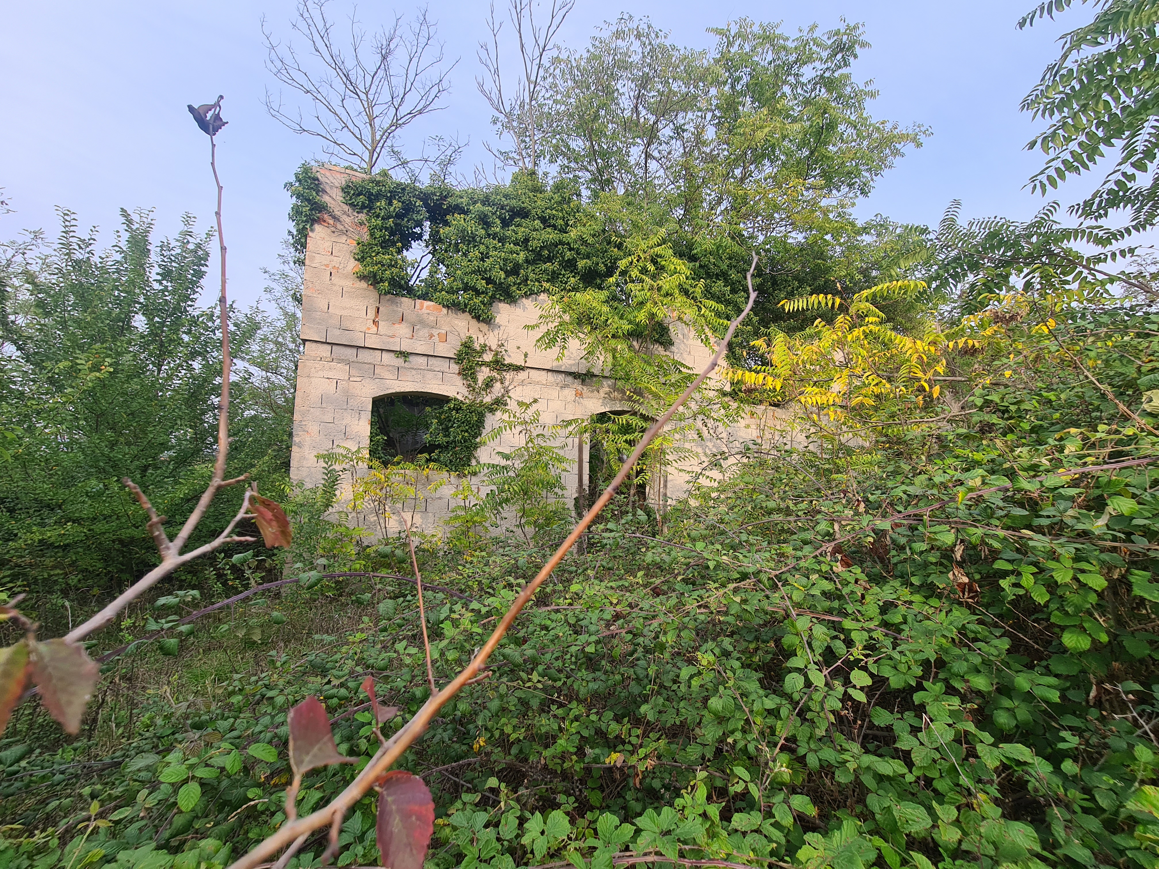 RUDERE A POLLENZA DI GRANDE CUBATURA