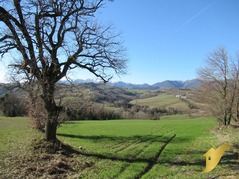 TERRENO AGRICOLO  - Rif. TA007