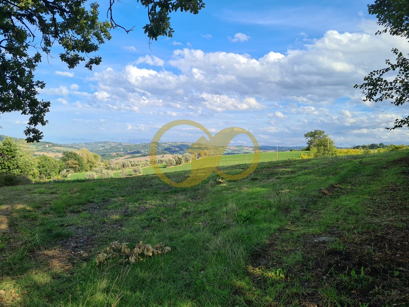 Casolare a Carpignano